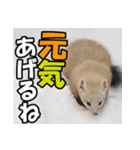元気チャージ★大切な毎日に無難なスタンプ（個別スタンプ：11）