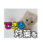 元気チャージ★大切な毎日に無難なスタンプ（個別スタンプ：12）