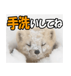 元気チャージ★大切な毎日に無難なスタンプ（個別スタンプ：13）