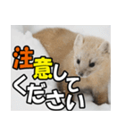 元気チャージ★大切な毎日に無難なスタンプ（個別スタンプ：14）