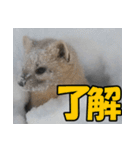 元気チャージ★大切な毎日に無難なスタンプ（個別スタンプ：15）