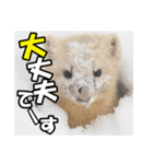 元気チャージ★大切な毎日に無難なスタンプ（個別スタンプ：16）