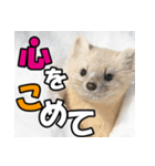 元気チャージ★大切な毎日に無難なスタンプ（個別スタンプ：18）