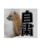 元気チャージ★大切な毎日に無難なスタンプ（個別スタンプ：19）