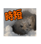 元気チャージ★大切な毎日に無難なスタンプ（個別スタンプ：20）
