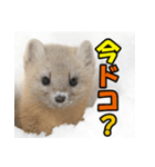 元気チャージ★大切な毎日に無難なスタンプ（個別スタンプ：21）