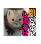 元気チャージ★大切な毎日に無難なスタンプ（個別スタンプ：22）