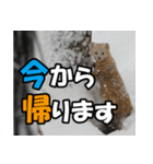 元気チャージ★大切な毎日に無難なスタンプ（個別スタンプ：24）