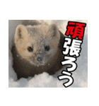 元気チャージ★大切な毎日に無難なスタンプ（個別スタンプ：25）