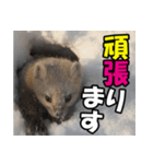 元気チャージ★大切な毎日に無難なスタンプ（個別スタンプ：26）