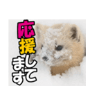 元気チャージ★大切な毎日に無難なスタンプ（個別スタンプ：27）