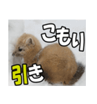 元気チャージ★大切な毎日に無難なスタンプ（個別スタンプ：28）