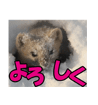 元気チャージ★大切な毎日に無難なスタンプ（個別スタンプ：29）