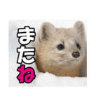 元気チャージ★大切な毎日に無難なスタンプ（個別スタンプ：30）