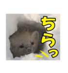 元気チャージ★大切な毎日に無難なスタンプ（個別スタンプ：32）