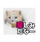 元気チャージ★大切な毎日に無難なスタンプ（個別スタンプ：33）