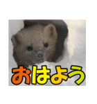 元気チャージ★大切な毎日に無難なスタンプ（個別スタンプ：34）