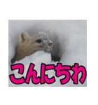 元気チャージ★大切な毎日に無難なスタンプ（個別スタンプ：35）