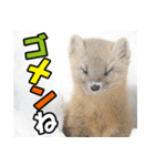 元気チャージ★大切な毎日に無難なスタンプ（個別スタンプ：37）