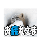 元気チャージ★大切な毎日に無難なスタンプ（個別スタンプ：38）