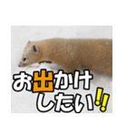 元気チャージ★大切な毎日に無難なスタンプ（個別スタンプ：39）