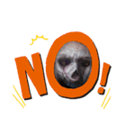 社長HALLOWEEN（個別スタンプ：14）