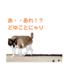 セブンの日常2（猫）（個別スタンプ：9）