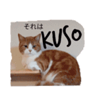 meadowたち家族専用2（個別スタンプ：5）