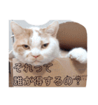 meadowたち家族専用2（個別スタンプ：38）