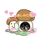 チワワのセサミ2（個別スタンプ：2）