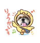 シーズー犬ぽぽ5（個別スタンプ：2）
