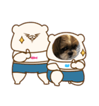 シーズー犬ぽぽ5（個別スタンプ：13）