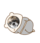 シーズー犬ぽぽ5（個別スタンプ：14）