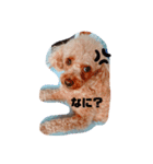 おすず_20201008225512（個別スタンプ：3）