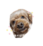 おすず_20201008225512（個別スタンプ：4）