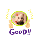 ワンダースタンプ（個別スタンプ：6）
