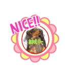 ワンダースタンプ（個別スタンプ：8）