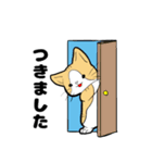 湯布院のタマファミリー（個別スタンプ：12）