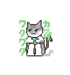 my pixel cats（個別スタンプ：6）