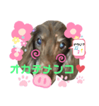 ダックスたまらん  番外編（個別スタンプ：3）
