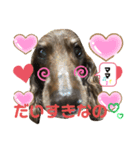 ダックスたまらん  可愛すぎるセリフ（個別スタンプ：3）