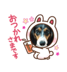 サナ会話（個別スタンプ：3）