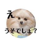 きなうにスタンプ②（個別スタンプ：9）