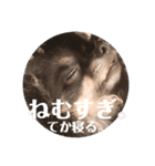 きなうにスタンプ②（個別スタンプ：10）