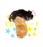 きなうにスタンプ②（個別スタンプ：14）