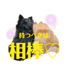 きなうにスタンプ②（個別スタンプ：15）