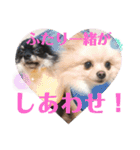 きなうにスタンプ②（個別スタンプ：23）