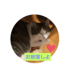 りんりんぶー（個別スタンプ：1）