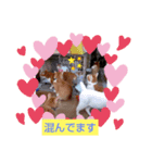 りんりんぶー（個別スタンプ：4）