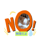 りんりんぶー（個別スタンプ：7）